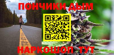 гидропоника Гусиноозёрск