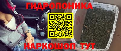 гидропоника Гусиноозёрск