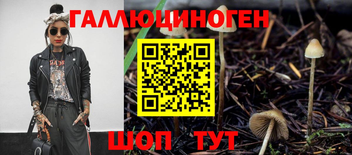 Галлюциногенные грибы Magic Shrooms  Вход с VPN  Кудымкар 