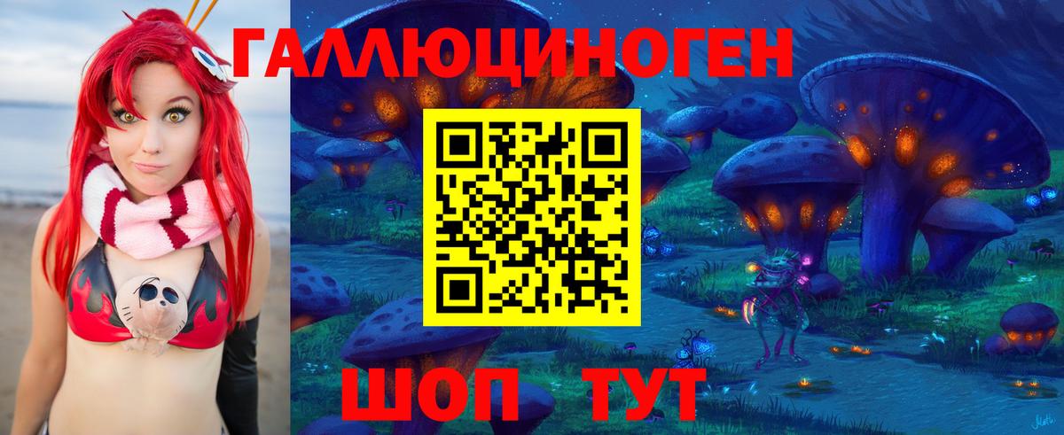 Галлюциногенные грибы Psilocybe Кудымкар
